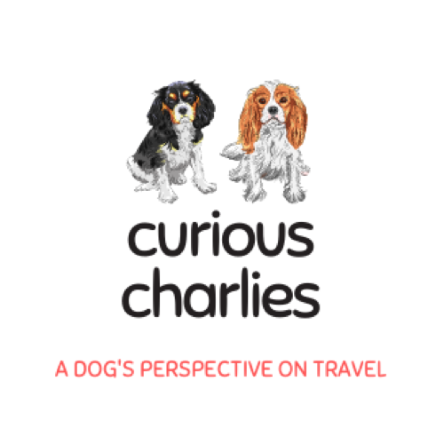 Curious Charlies